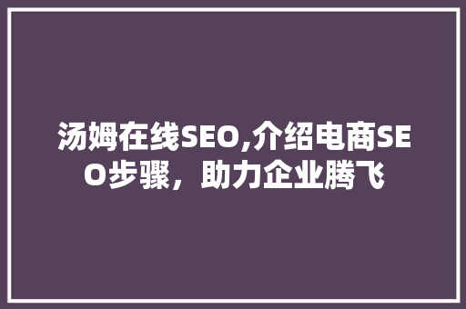 汤姆在线SEO,介绍电商SEO步骤，助力企业腾飞
