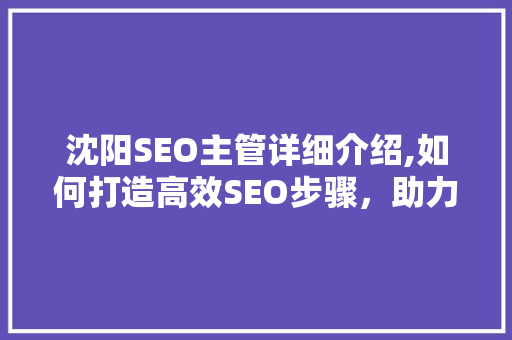 沈阳SEO主管详细介绍,如何打造高效SEO步骤，助力企业腾飞