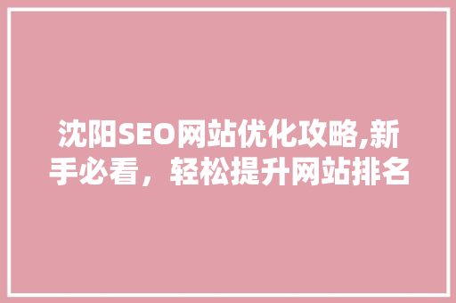 沈阳SEO网站优化攻略,新手必看，轻松提升网站排名