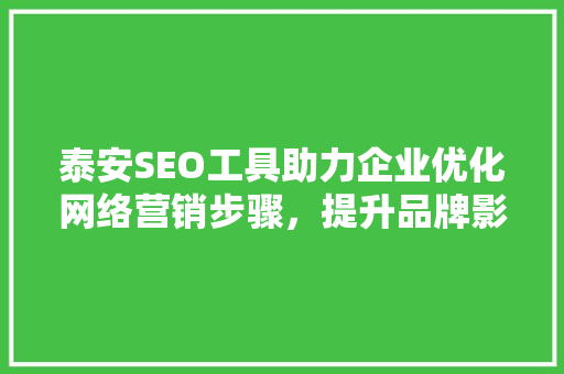 泰安SEO工具助力企业优化网络营销步骤，提升品牌影响力