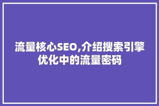 流量核心SEO,介绍搜索引擎优化中的流量密码