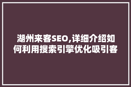 湖州来客SEO,详细介绍如何利用搜索引擎优化吸引客户