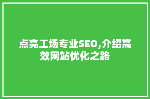 点亮工场专业SEO,介绍高效网站优化之路
