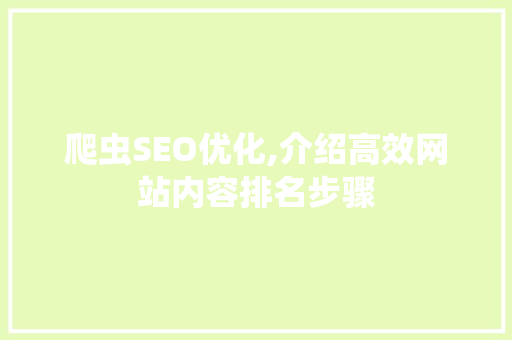 爬虫SEO优化,介绍高效网站内容排名步骤