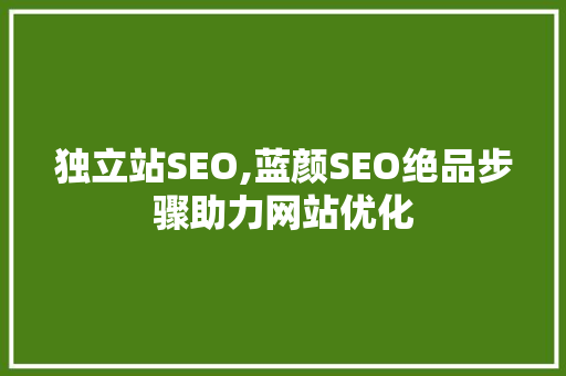 独立站SEO,蓝颜SEO绝品步骤助力网站优化