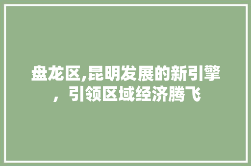盘龙区,昆明发展的新引擎，引领区域经济腾飞