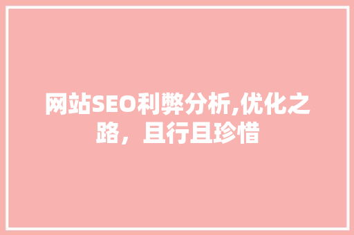 网站SEO利弊分析,优化之路，且行且珍惜
