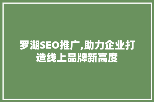罗湖SEO推广,助力企业打造线上品牌新高度