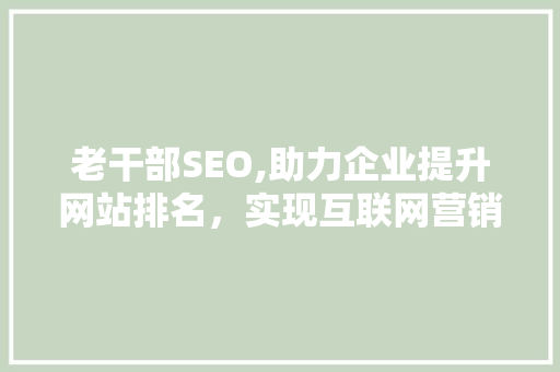 老干部SEO,助力企业提升网站排名，实现互联网营销新突破