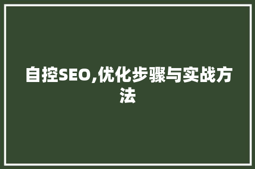 自控SEO,优化步骤与实战方法