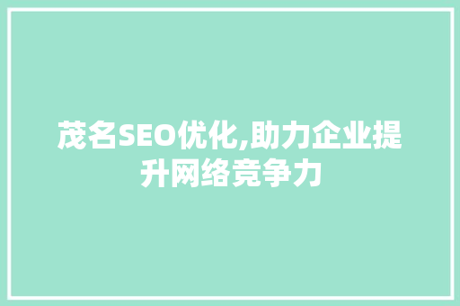 茂名SEO优化,助力企业提升网络竞争力