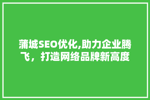 蒲城SEO优化,助力企业腾飞，打造网络品牌新高度