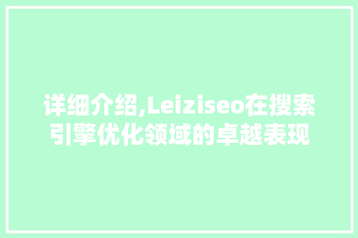 详细介绍,Leiziseo在搜索引擎优化领域的卓越表现