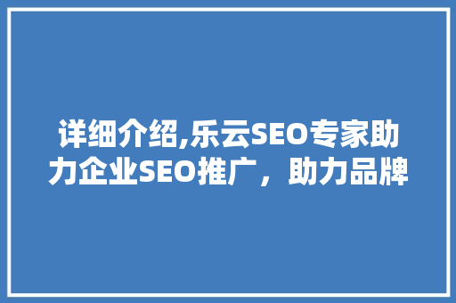 详细介绍,乐云SEO专家助力企业SEO推广，助力品牌腾飞