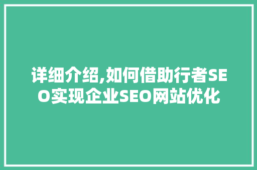 详细介绍,如何借助行者SEO实现企业SEO网站优化