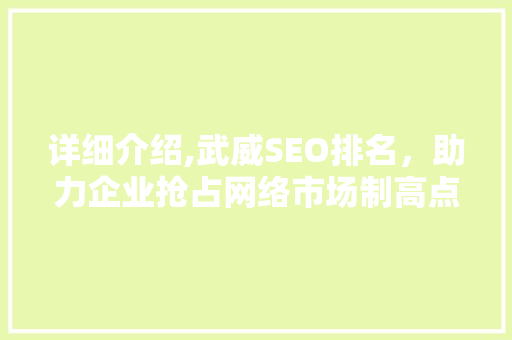 详细介绍,武威SEO排名，助力企业抢占网络市场制高点