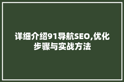 详细介绍91导航SEO,优化步骤与实战方法