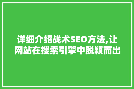 详细介绍战术SEO方法,让网站在搜索引擎中脱颖而出