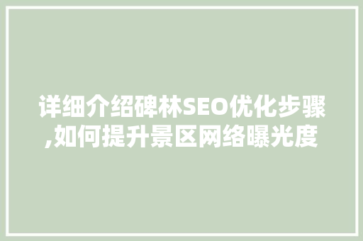 详细介绍碑林SEO优化步骤,如何提升景区网络曝光度