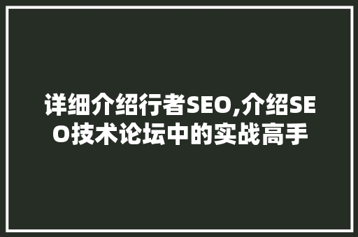 详细介绍行者SEO,介绍SEO技术论坛中的实战高手