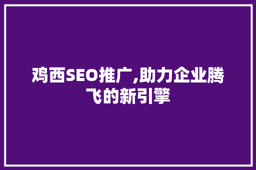 鸡西SEO推广,助力企业腾飞的新引擎