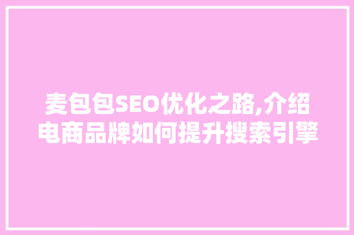 麦包包SEO优化之路,介绍电商品牌如何提升搜索引擎排名