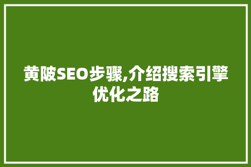 黄陂SEO步骤,介绍搜索引擎优化之路