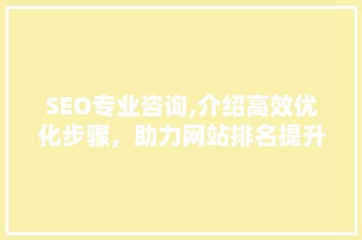 SEO专业咨询,介绍高效优化步骤，助力网站排名提升