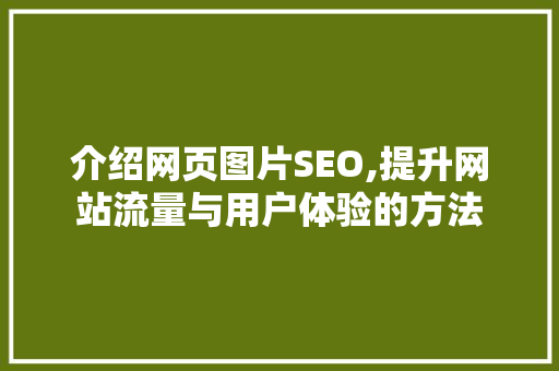 介绍网页图片SEO,提升网站流量与用户体验的方法