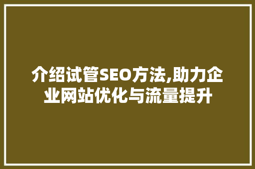 介绍试管SEO方法,助力企业网站优化与流量提升