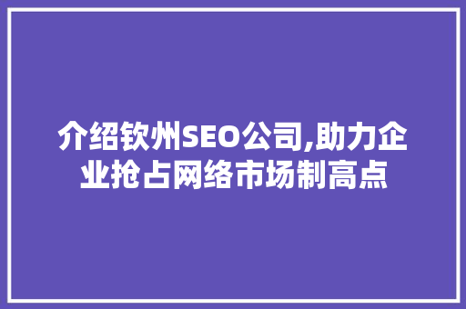 介绍钦州SEO公司,助力企业抢占网络市场制高点