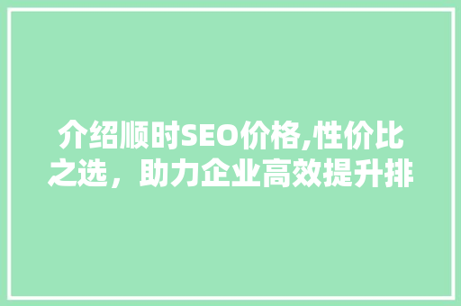 介绍顺时SEO价格,性价比之选，助力企业高效提升排名