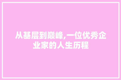 从基层到巅峰,一位优秀企业家的人生历程