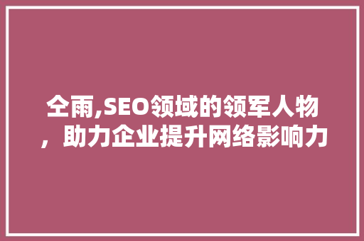 仝雨,SEO领域的领军人物，助力企业提升网络影响力