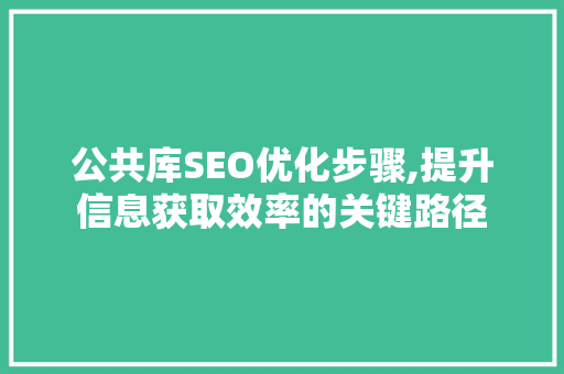 公共库SEO优化步骤,提升信息获取效率的关键路径