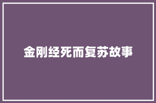 华阴SEO优化,助力企业互联网营销的绿色通道