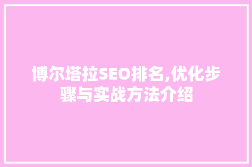 博尔塔拉SEO排名,优化步骤与实战方法介绍