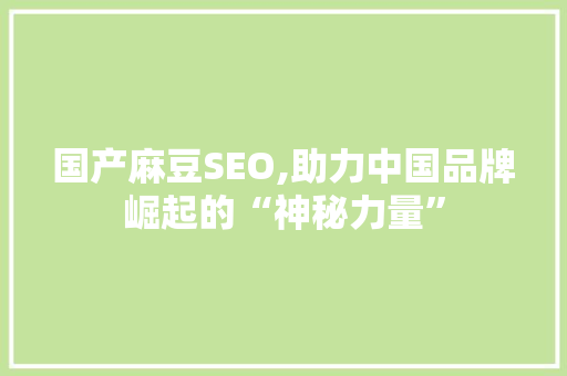 国产麻豆SEO,助力中国品牌崛起的“神秘力量”