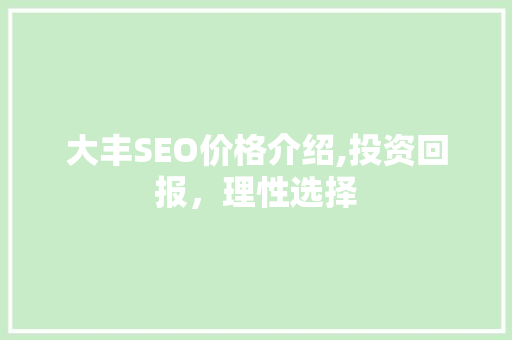 大丰SEO价格介绍,投资回报，理性选择