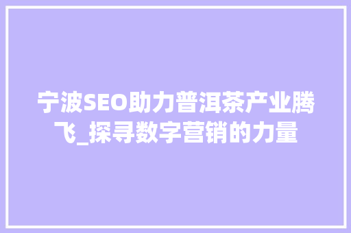 宁波SEO助力普洱茶产业腾飞_探寻数字营销的力量