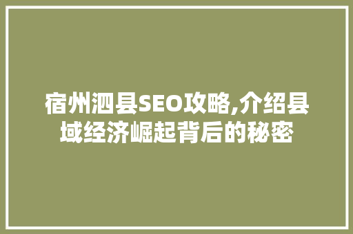 宿州泗县SEO攻略,介绍县域经济崛起背后的秘密