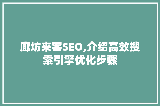 廊坊来客SEO,介绍高效搜索引擎优化步骤