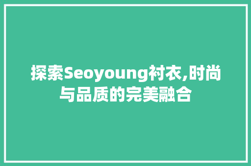 探索Seoyoung衬衣,时尚与品质的完美融合