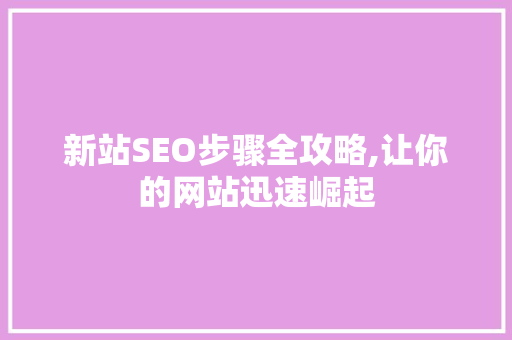 新站SEO步骤全攻略,让你的网站迅速崛起