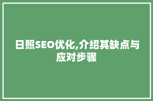 日照SEO优化,介绍其缺点与应对步骤