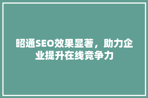 昭通SEO效果显著，助力企业提升在线竞争力