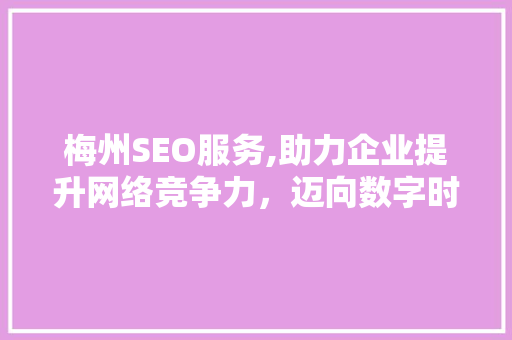 梅州SEO服务,助力企业提升网络竞争力，迈向数字时代
