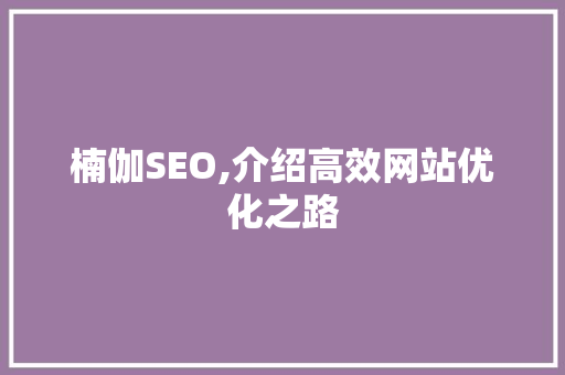 楠伽SEO,介绍高效网站优化之路