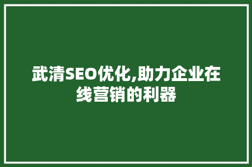 武清SEO优化,助力企业在线营销的利器