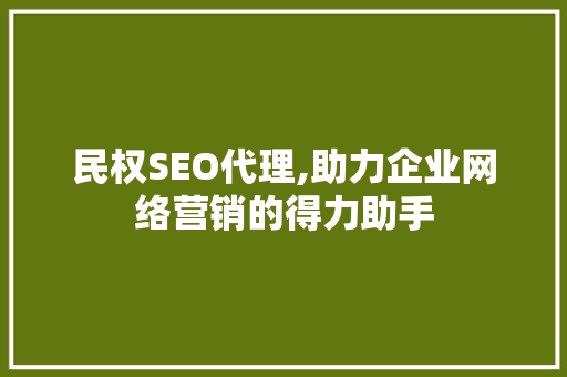 民权SEO代理,助力企业网络营销的得力助手